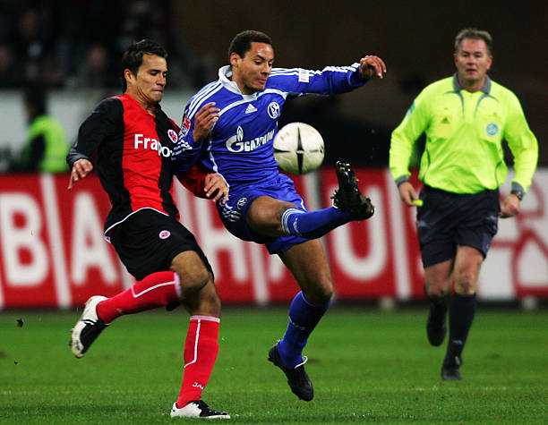 O文章更具 O文章更具